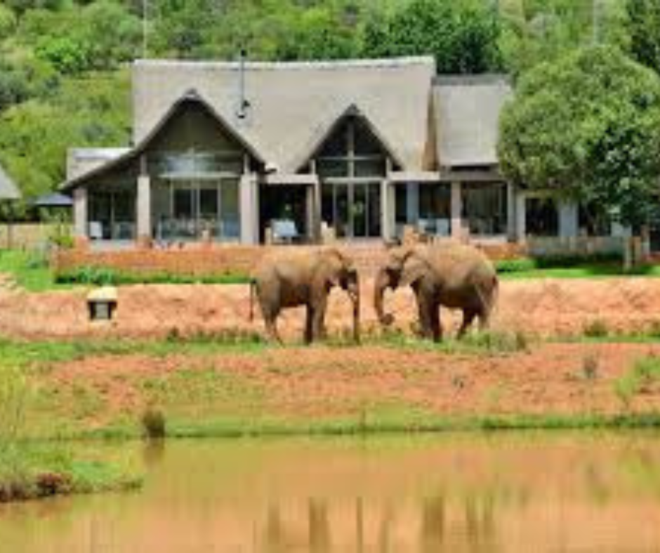 corporate amazing race team building Pretoria at Irene Country Lodge with teams completing outdoor challenges and activities
